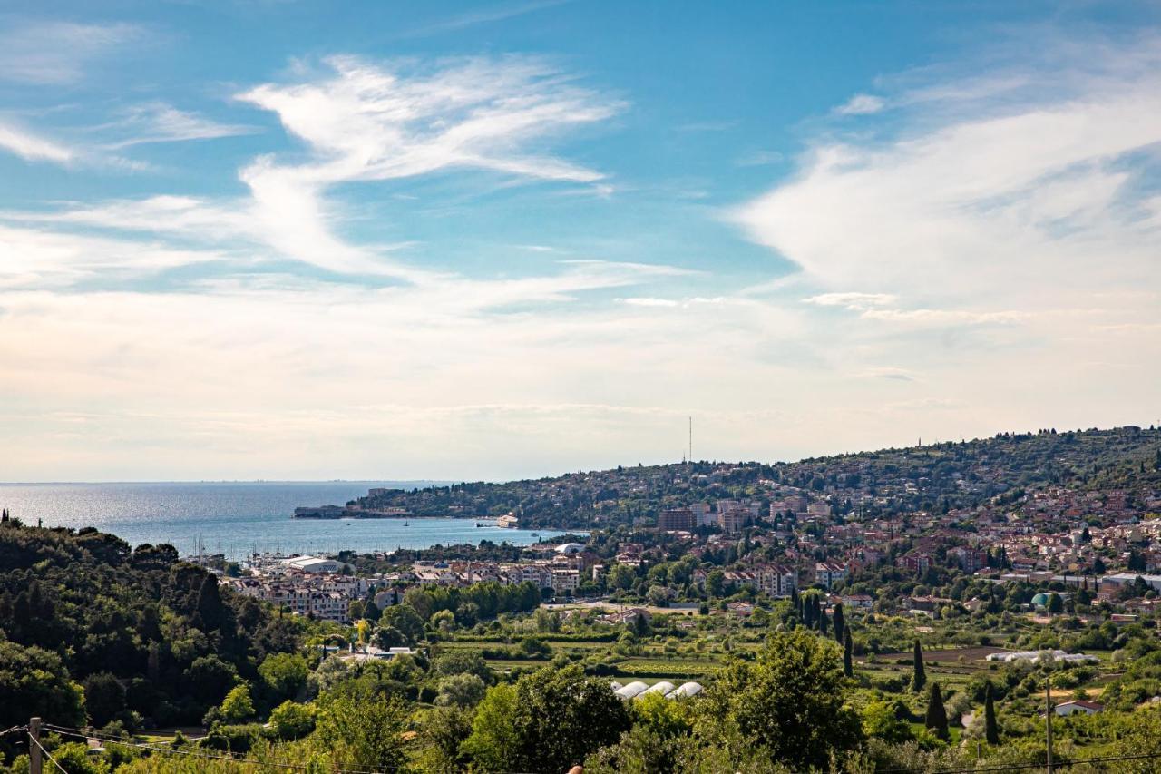Larabella Salt Fields View Studio Portorož Exterior foto