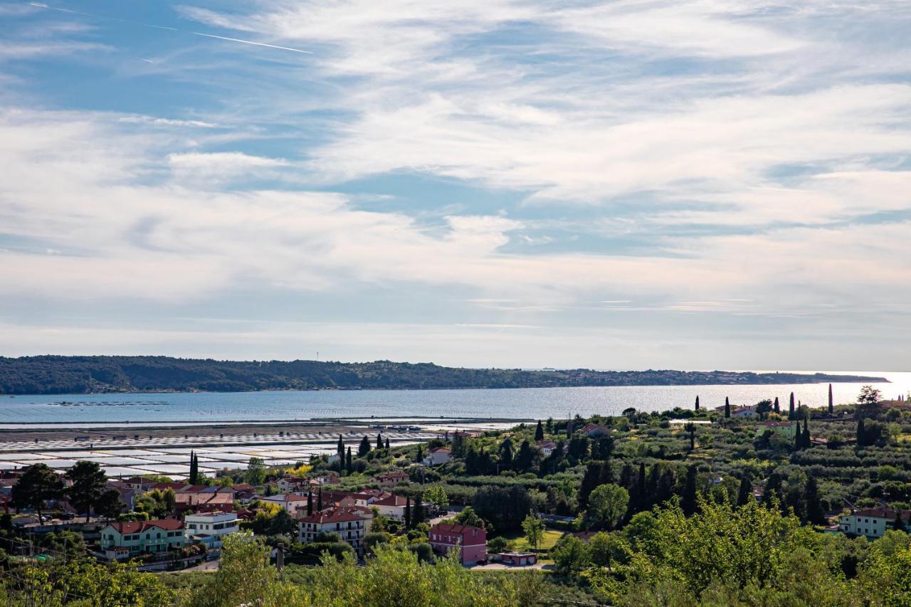 Larabella Salt Fields View Studio Portorož Exterior foto